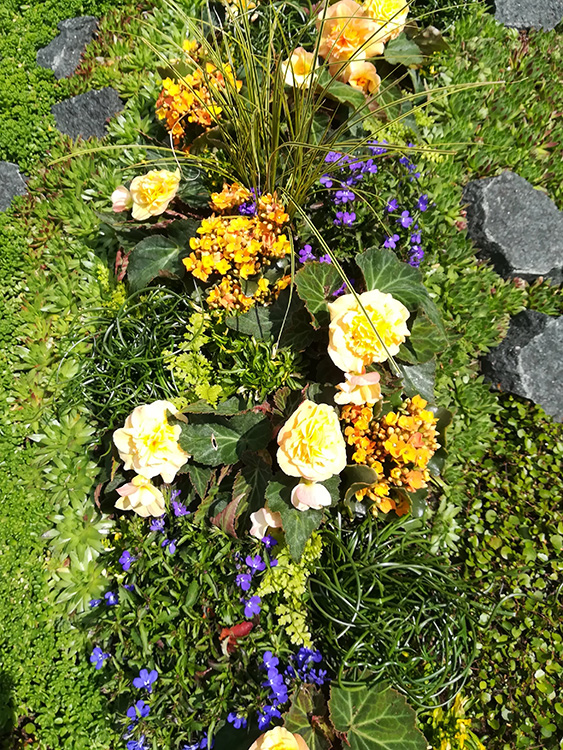 Blumen Schmauk